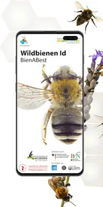 Wildbienen Id BienABest screenshot 0