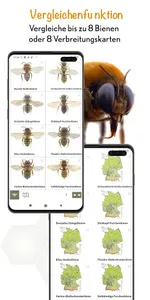 Wildbienen Id BienABest screenshot 6