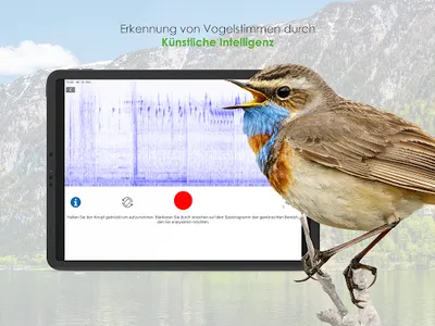 Vögel in Österreich screenshot 17