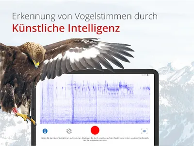 Vogelführer Birdlife Schweiz screenshot 17