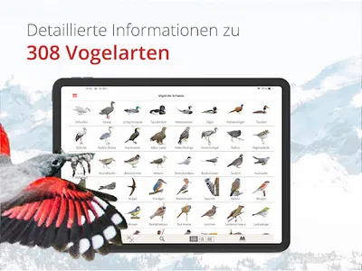 Vogelführer Birdlife Schweiz screenshot 19