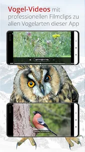 Vogelführer Birdlife Schweiz screenshot 5