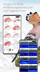 Vogelführer Birdlife Schweiz screenshot 6