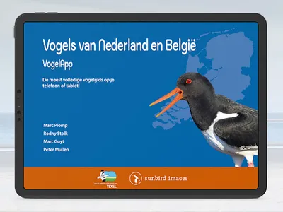 Vogels van Nederland en België screenshot 16