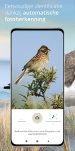 Vogels van Nederland en België screenshot 2