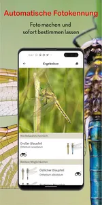 Libellen Id Europa - mit Fotoe screenshot 1