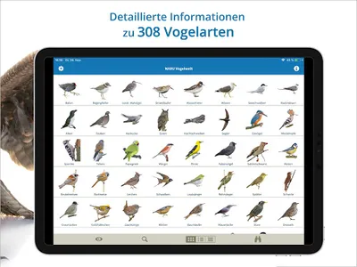 NABU Vogelwelt Vögel Bestimmen screenshot 18