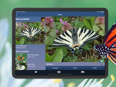 Schmetterling Id - Tagfalter screenshot 14