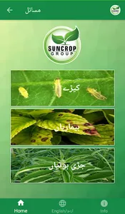 Suncrop Guide screenshot 3