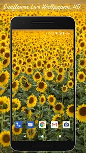 Sunflower Live Wallpapers HD screenshot 0