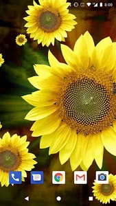 Sunflower Live Wallpapers HD screenshot 11