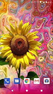 Sunflower Live Wallpapers HD screenshot 4