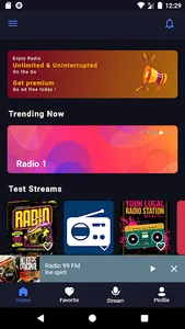 Radio screenshot 11