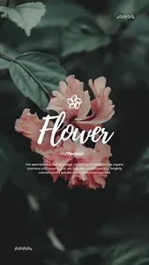 Wallpaper Bunga Mawar screenshot 1