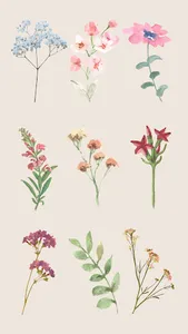 Wallpaper Bunga Mawar screenshot 2