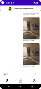 Community Chicken screenshot 4