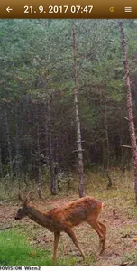 SuperJagd Wildkamera screenshot 3