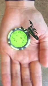 Kreepie Krawlies screenshot 1
