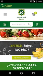 Superseis screenshot 6