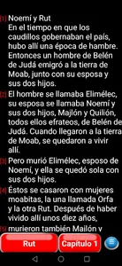 Santa Biblia NVI screenshot 1