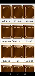 Santa Biblia NVI screenshot 4