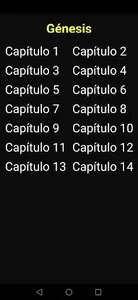 Santa Biblia NVI screenshot 6