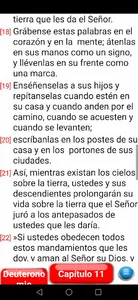 Santa Biblia NVI screenshot 7