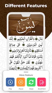 Surah Yasin | Surah Yaseen screenshot 1