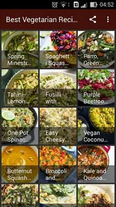 Best Vegetarian Recipes screenshot 0