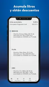 Puntada screenshot 3