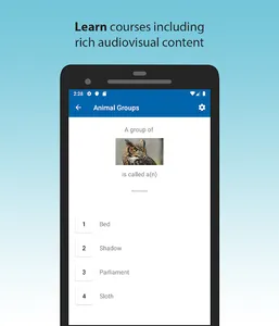 Syngli - Interactive Learning screenshot 2