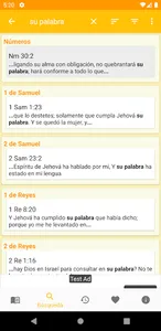 Biblia Reina Valera screenshot 5