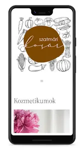Szatmári kosár screenshot 0