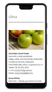 Szatmári kosár screenshot 2