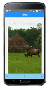 Ország Adatok screenshot 6
