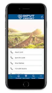 Input Csoport screenshot 6