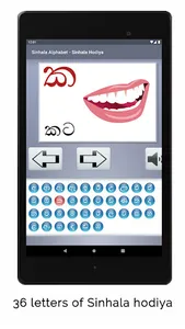 Sinhala Alphabet - Hodiya screenshot 5