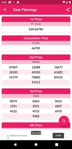 Nagaland Lottery Result screenshot 1
