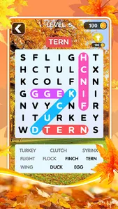 Word Search Spanish Puzzle screenshot 1