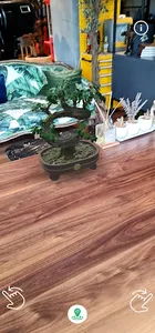 Bonsai AR screenshot 6