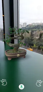 Bonsai AR screenshot 7