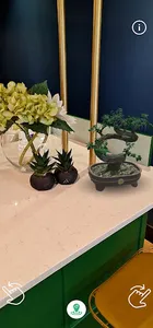 Bonsai AR screenshot 8