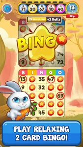 Bingo:  Free the Pets screenshot 1