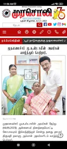 Murasoli screenshot 4