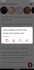Secret Love Quotes and Sayings screenshot 2