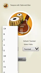 Tanpura With Tabla & Sitar screenshot 2