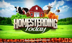 Homesteading Today screenshot 1