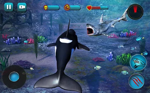 Killer Whale Beach Attack 3D screenshot 14