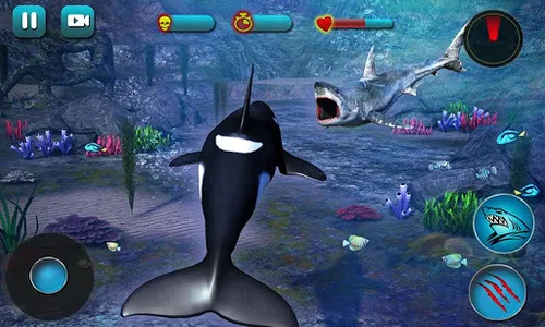 Killer Whale Beach Attack 3D screenshot 4