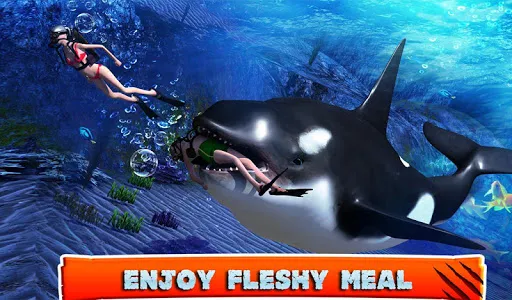 Killer Whale Beach Attack 3D screenshot 6